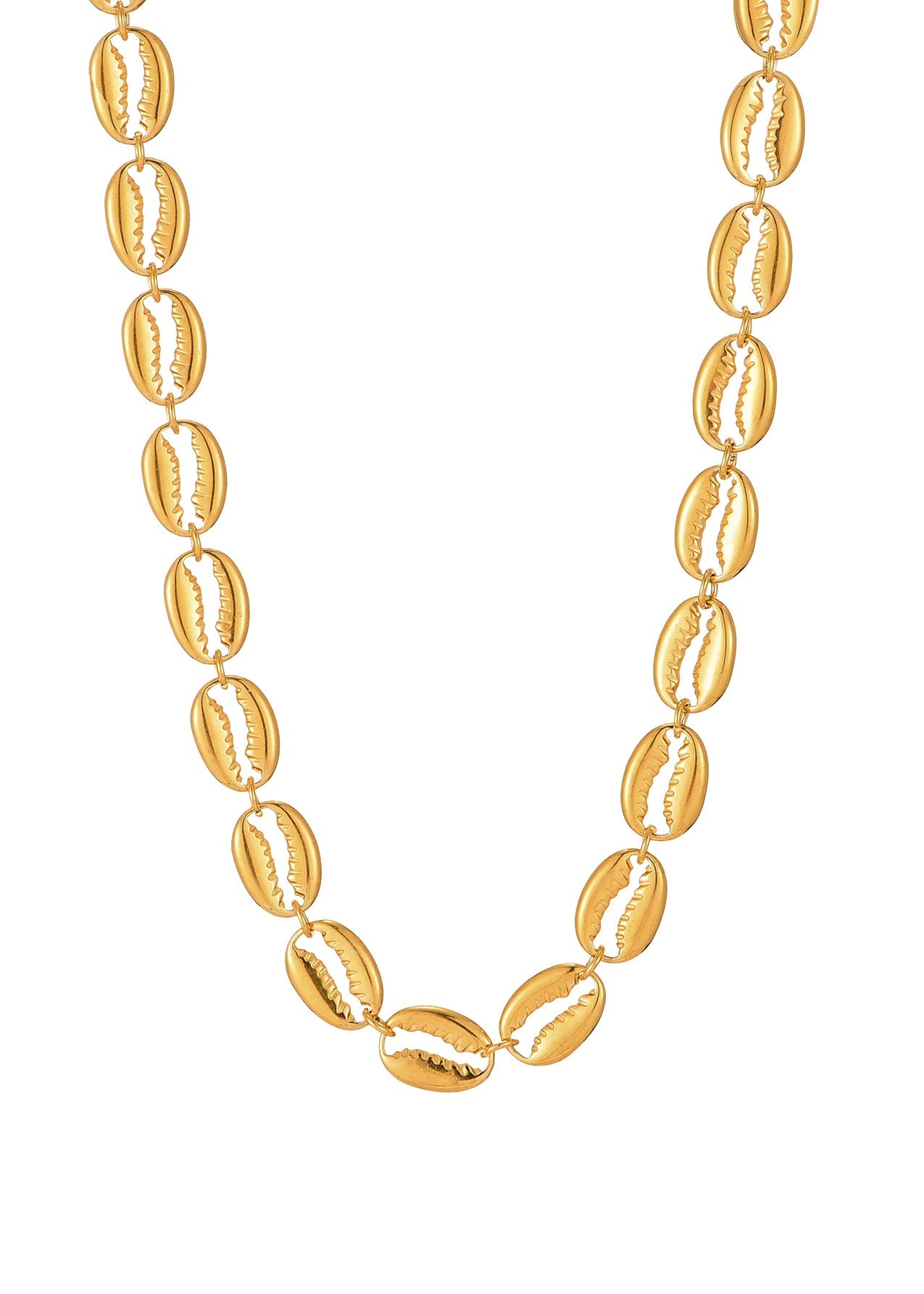 Scott Shell Golden Necklace