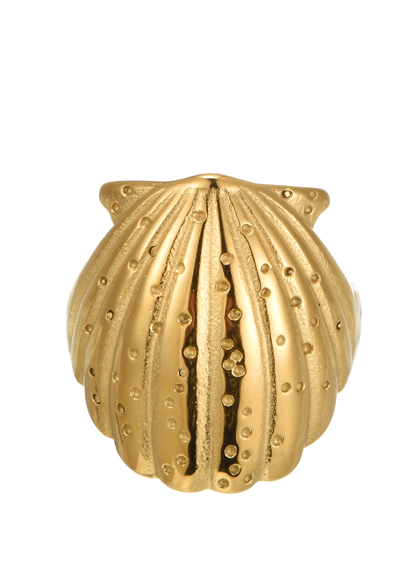 Anello Sid con conchiglia dorata