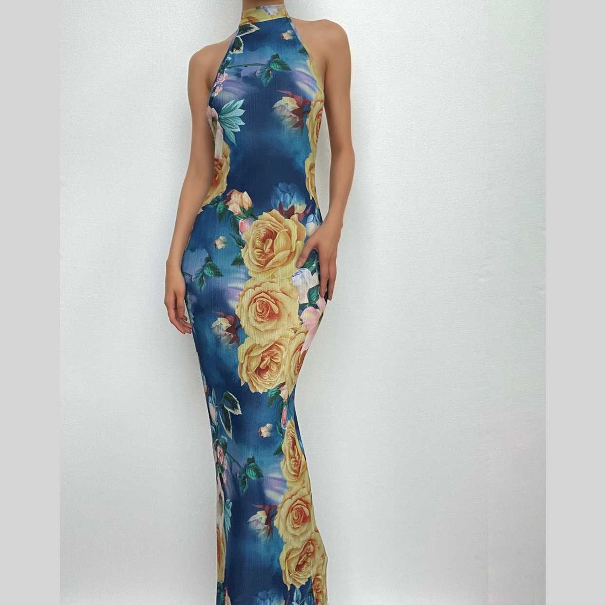 Rückenfreies Maxikleid aus transparentem Netzstoff mit Blumenmuster und Neckholder in Kontrastfarbe zum Binden