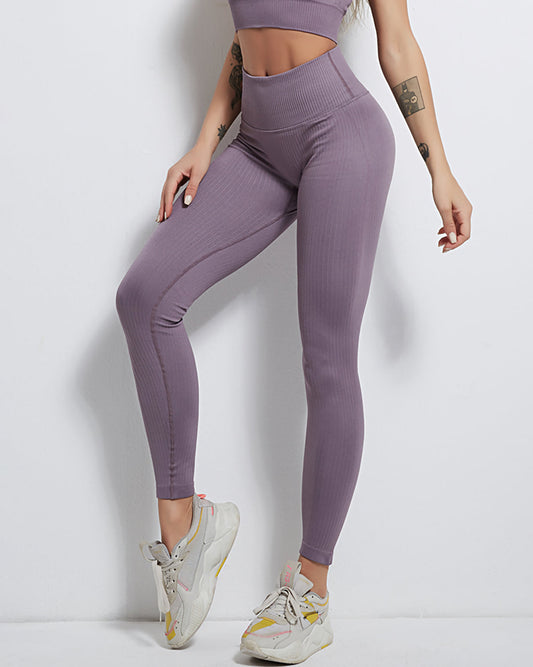 Rozy Ribbed Seamless Leggings - Purple
