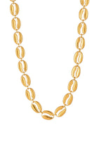 Scott Shell Goldene Halskette