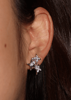 Will Sparkle Ohrstecker