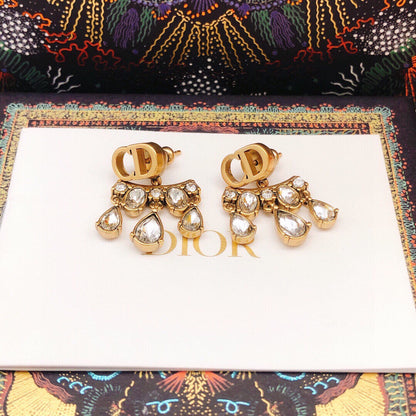 Trendy Drop Drill Earrings