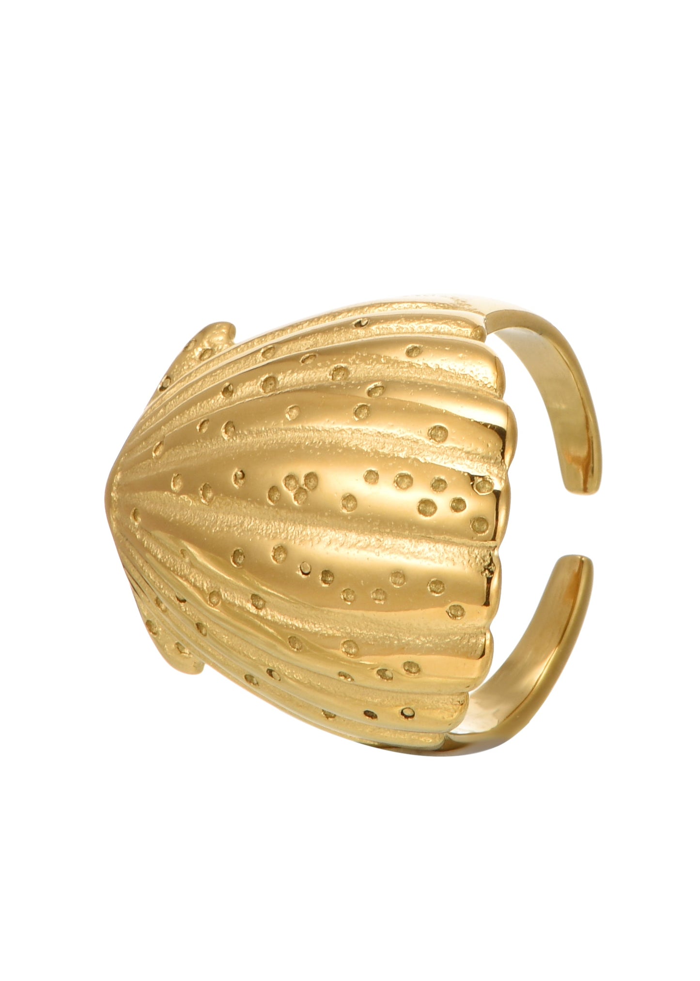 Anello Sid con conchiglia dorata