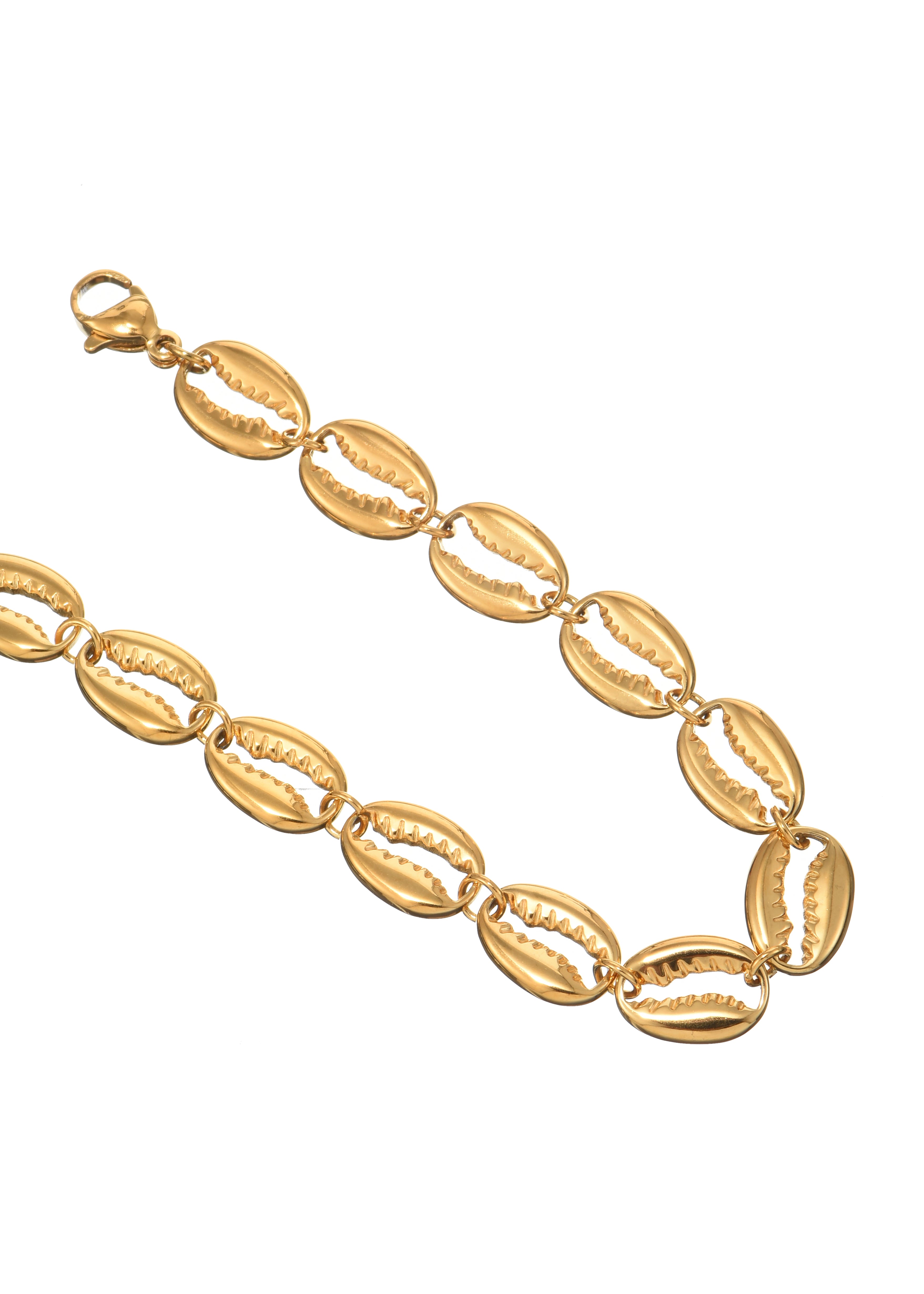 Scott Goldenes Muschelarmband