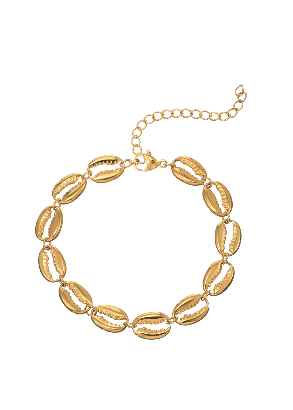 Scott Goldenes Muschelarmband