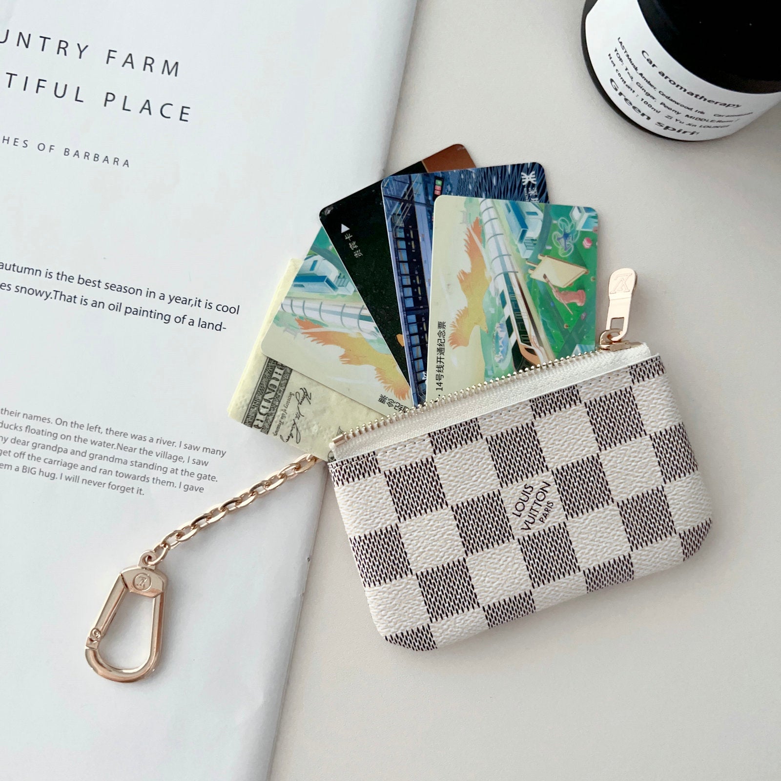 Klassisches Münzgeldbörse mit Kette