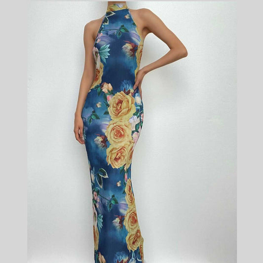Rückenfreies Maxikleid aus transparentem Netzstoff mit Blumenmuster und Neckholder in Kontrastfarbe zum Binden 