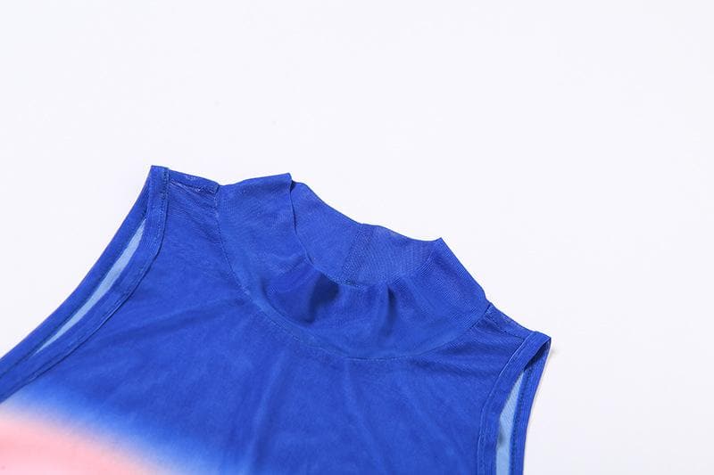 Sheer mesh see through gradient sleeveless high neck top