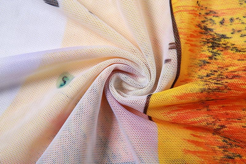 Sheer mesh see through contrast print long sleeve maxi skirt set