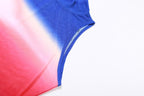 Sheer mesh see through gradient sleeveless high neck top