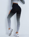 Qeuryn Nahtlose Leggings - Schwarz
