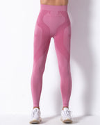 Wilder Seamless Leggings - Rosa